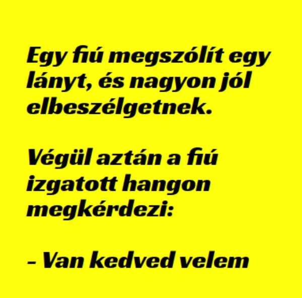 Vicc: Egy fiú megszólít egy lányt, és nagyon jól elbeszélgetnek. –