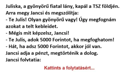 Vicc: Ha adsz 5000 Forintot, akkor jól van, csak gyere menjünk oda a bokorba.