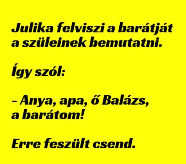 Vicc: Julika bemutatja a barátját a szüleinek Vicc: Julika bemutatja a barátját a szüleinek