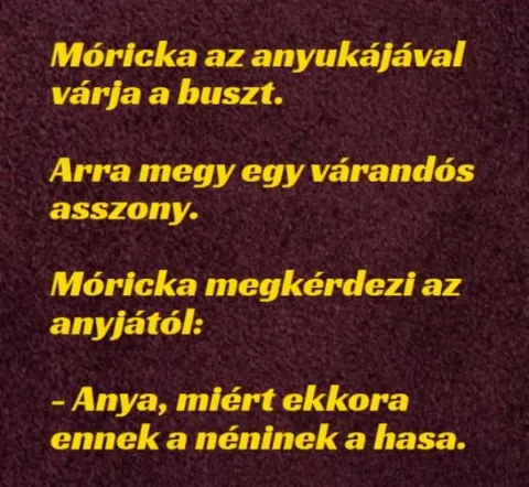 Vicc: Móricka az anyukájával várja a buszt –