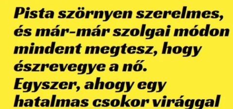 Vicc: Pista szörnyen szerelmes, és már-már –