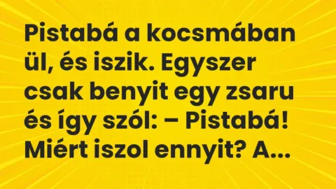 Vicc: Pistabá a kocsmában ül, és iszik. Egyszer csak benyit egy zsaru és így…