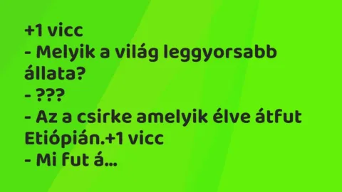 Vicc: