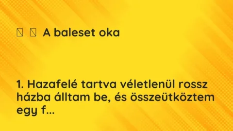 Vicc: 
	    	    A baleset oka





1. Hazafelé tartva véletlenül rossz…