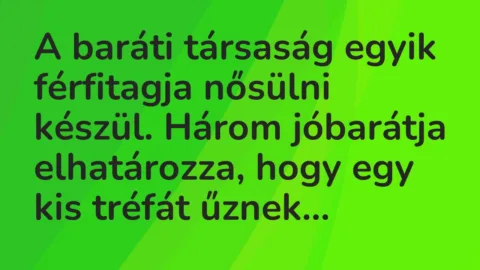 Vicc: A baráti társaság egyik férfitagja nősülni készül. Három jóbarátja elhatározza,…