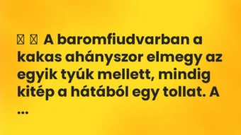 Vicc: A baromfiudvarban a kakas ahányszor elmegy az egyik tyúk mellett,…