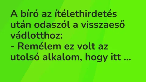 Vicc: A bíró az ítélethirdetés után odaszól a visszaeső vádlotthoz:

– Remélem ez…