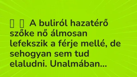 Vicc: 
	    	    A buliról hazatérő szőke nő álmosan lefekszik a férje mellé, de…