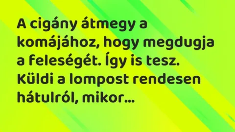 Vicc: A cigány átmegy a komájához, hogy megdugja a feleségét. Így is tesz.

Küldi…