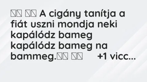 Vicc: 
		  
		  A cigány tanítja a fiát uszni mondja neki kapálódz bameg…