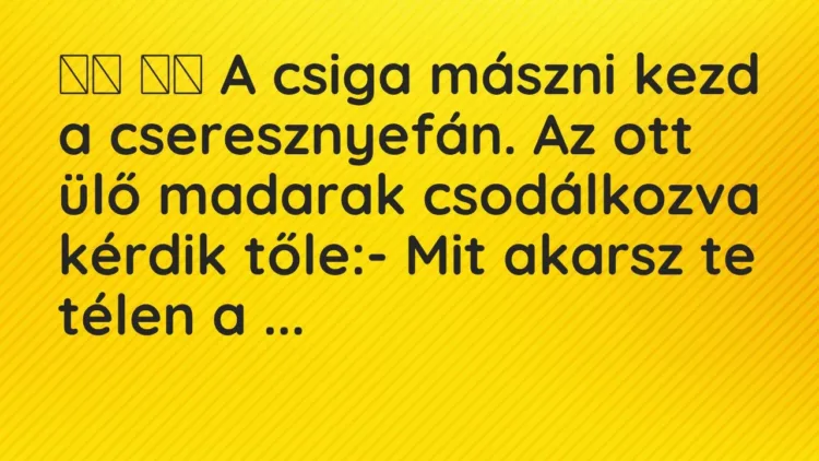 Vicc:
A csiga mászni kezd a cseresznyefán. Az ott ülő madarak… Vicc:
A csiga mászni kezd a cseresznyefán. Az ott ülő madarak…