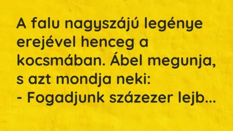 Vicc: A falu nagyszájú legénye erejével henceg a kocsmában. Ábel megunja, s azt mondja…
