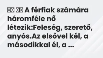 Vicc: A férfiak számára háromféle nő létezik:Feleség,…