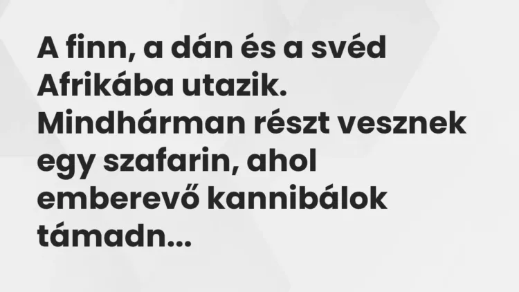 Vicc: A finn, a dán és a svéd Afrikába utazik. Mindhárman részt vesznek egy szafarin,… Vicc: A finn, a dán és a svéd Afrikába utazik. Mindhárman részt vesznek egy szafarin,…