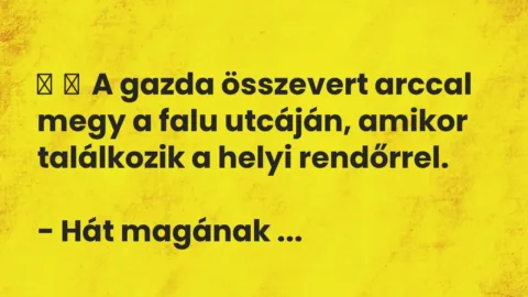 Vicc: 
	    	    A gazda összevert arccal megy a falu utcáján, amikor találkozik a…