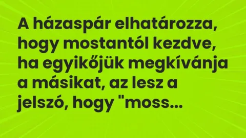 Vicc: A házaspár elhatározza, hogy mostantól kezdve, ha egyikőjük megkívánja a…