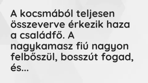 Vicc: A kocsmából teljesen összeverve érkezik haza a családfő. A nagykamasz fiú nagyon…
