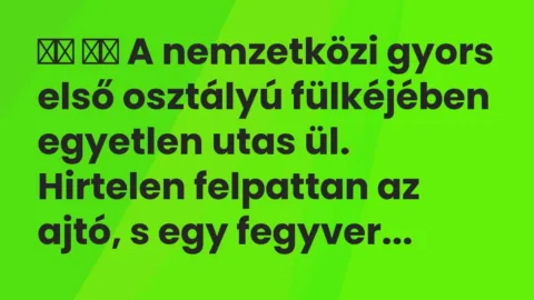 Vicc: 
		  
		  A nemzetközi gyors első osztályú fülkéjében egyetlen utas…