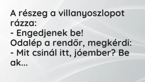 Vicc: A részeg a villanyoszlopot rázza:

– Engedjenek be!

Odalép a rendőr,…