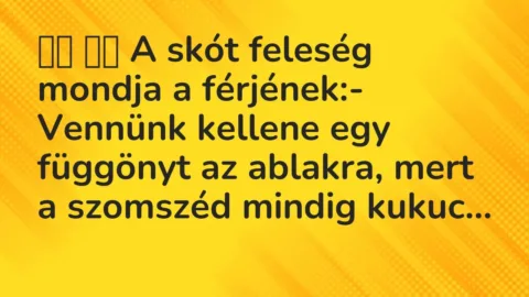 Vicc: 
		  
		  A skót feleség mondja a férjének:- Vennünk kellene egy …