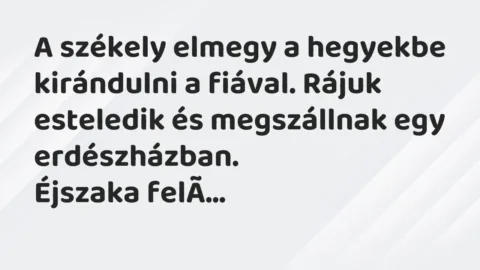 Vicc: A székely elmegy a hegyekbe kirándulni a fiával. Rájuk esteledik és megszállnak…