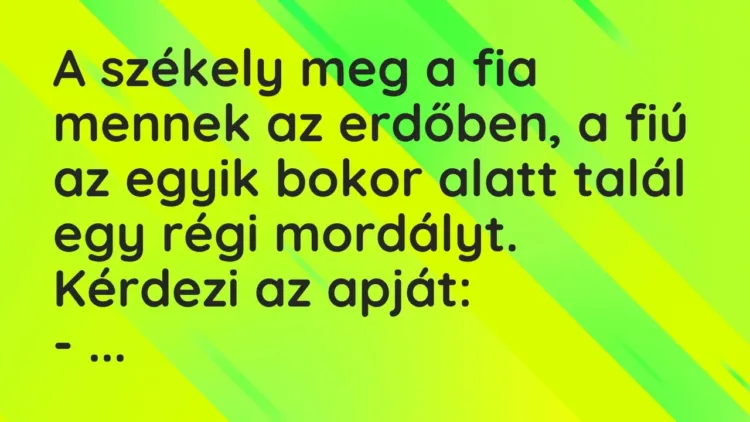 Vicc: A székely meg a fia mennek az erdőben, a fiú az egyik bokor alatt talál egy régi… Vicc: A székely meg a fia mennek az erdőben, a fiú az egyik bokor alatt talál egy régi…