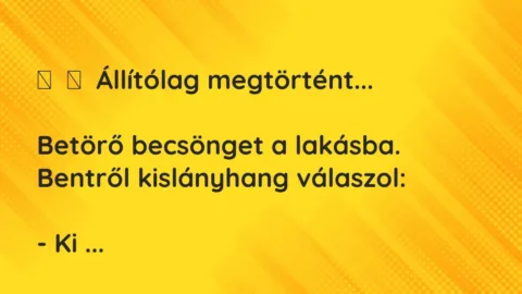 Vicc: 
	    	    Állítólag megtörtént…


Betörő becsönget a lakásba. Bentről…