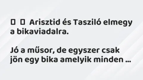 Vicc: 
	    	    Arisztid és Tasziló elmegy a bikaviadalra.


Jó a műsor, de…