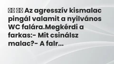 Vicc: 
		  
		  Az agresszív kismalac pingál valamit a nyilvános WC…