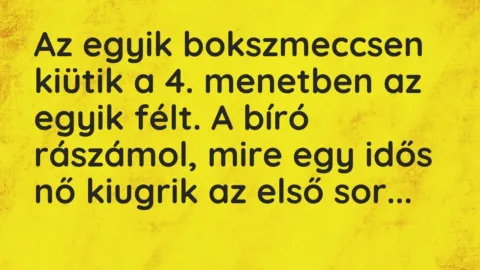 Vicc: Az egyik bokszmeccsen kiütik a 4. menetben az egyik félt. A bíró rászámol, mire…