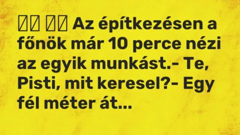 Vicc: 
		  
		  Az építkezésen a főnök már 10 perce nézi az egyik…