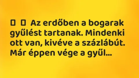 Vicc: 
	    	    Az erdőben a bogarak gyűlést tartanak. Mindenki ott van, kivéve a…