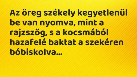 Vicc: Az öreg székely kegyetlenül be van nyomva, mint a rajzszög, s a kocsmából…