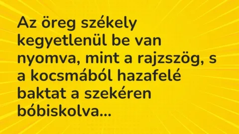 Vicc: Az öreg székely kegyetlenül be van nyomva, mint a rajzszög, s a kocsmából…