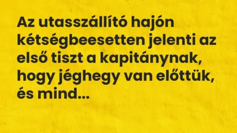 Vicc: Az utasszállító hajón kétségbeesetten jelenti az első tiszt a kapitánynak, hogy…