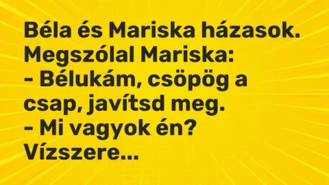 Vicc: Béla és Mariska házasok. Megszólal Mariska:

– Bélukám, csöpög a csap,…