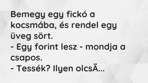 Vicc: Bemegy egy fickó a kocsmába, és rendel egy üveg sört.

– Egy forint lesz -…