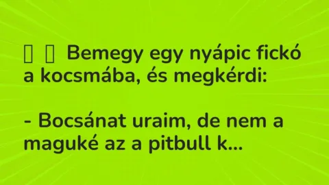 Vicc: 
	    	    Bemegy egy nyápic fickó a kocsmába, és megkérdi:


– Bocsánat…