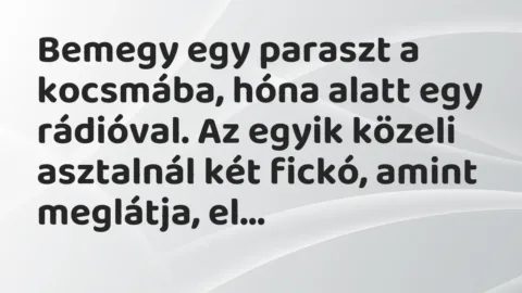 Vicc: Bemegy egy paraszt a kocsmába, hóna alatt egy rádióval. Az egyik közeli…