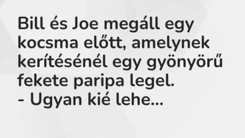 Vicc: Bill és Joe megáll egy kocsma előtt, amelynek kerítésénél egy gyönyörű fekete…