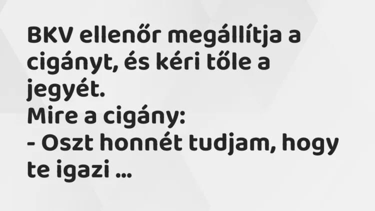 Vicc: BKV ellenőr megállítja a cigányt, és kéri tőle a jegyét. Mire a…