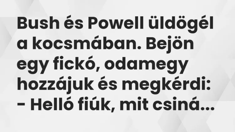 Vicc: Bush és Powell üldögél a kocsmában. Bejön egy fickó, odamegy hozzájuk és… Vicc: Bush és Powell üldögél a kocsmában. Bejön egy fickó, odamegy hozzájuk és…