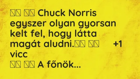 Vicc: 
		  
		  Chuck Norris egyszer olyan gyorsan kelt fel, hogy látta…