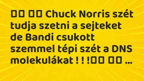 Vicc: 
		  
		  Chuck Norris szét tudja szetni a sejteket de Bandi csukott …