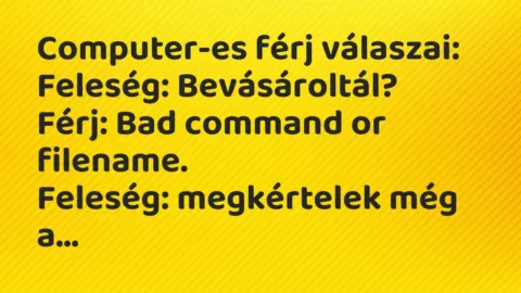 Vicc: Computer-es férj válaszai:

Feleség: Bevásároltál?

Férj: Bad command or…