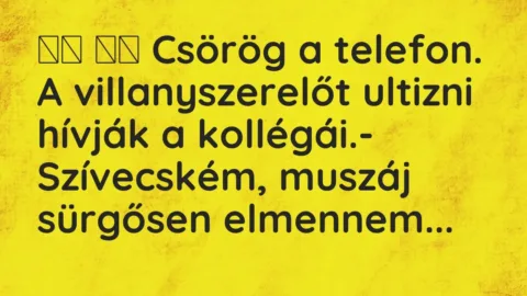 Vicc: 
		  
		  Csörög a telefon. A villanyszerelőt ultizni hívják a…