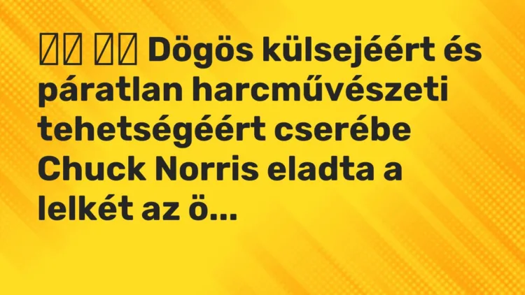 Vicc: Dögös külsejéért és páratlan harcművészeti tehetségéért…