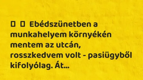 Vicc: 
	    	    Ebédszünetben a munkahelyem környékén mentem az utcán, rosszkedvem…