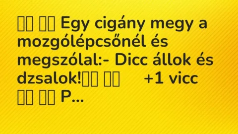Vicc: 
		  
		  Egy cigány megy a mozgólépcsőnél és megszólal:- Dicc…