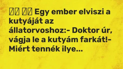 Vicc: 
		  
		  Egy ember elviszi a kutyáját az állatorvoshoz:- Doktor …